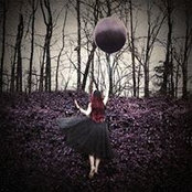 Linda Harding's photo