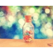 Shorouk Eid's photo
