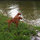 webuser_1918190