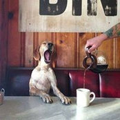 Cinde Campbell's photo
