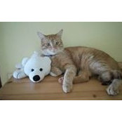 Pia Brunner-Halm's photo