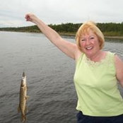 Jan Wotton's photo