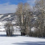 Diana Shearon's photo