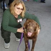 Wendy Kuehn's photo