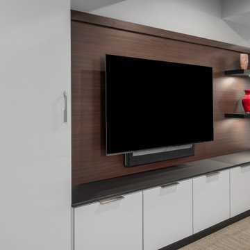 University City Townhome Lower Level