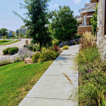 Des Peres New Build