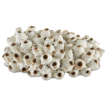 Currey & Company 1200-0429 Sulawasi Shells in Antique White