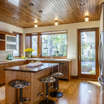 Minnehaha Modern - Minneapolis, MN