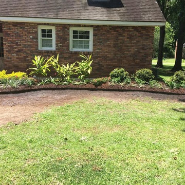 Southern Louisiana Tropical Garden
