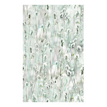 window film