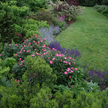 Front yard flower beds