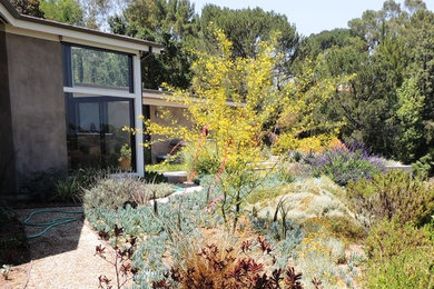 Inspiration for a contemporary landscaping in Los Angeles.