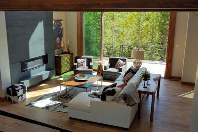 Inspiration for a contemporary living room remodel in Other