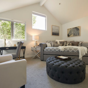 Contemporary - House