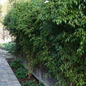 Side Yards