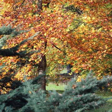 Belgium
