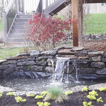 Pond renovation After