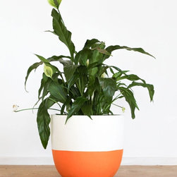 Pop & Scott Orange Dipped Pot | Pop & Scott - Indoor Pots And Planters