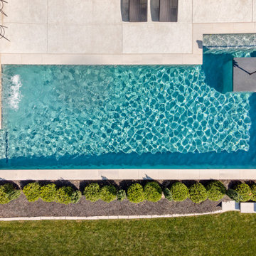 Tropical Oasis in Your Backyard