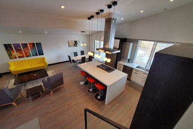 Inspiration for a kitchen remodel in Denver