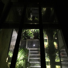 terrarium