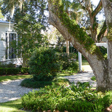 Amazing Gardens
