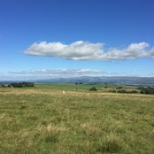 Helen W's photo