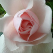 Margaret Eacker's photo
