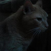 Tabitha Rogers's photo