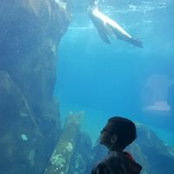 Amy Smith's photo