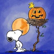 Patti Epner's photo