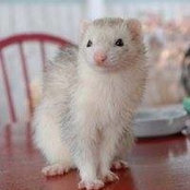 Jeanne Cheslock's photo