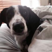 Shannon McDougall's photo