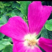 Maureen Farr's photo