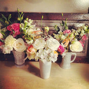 Tara Maldonado's photo