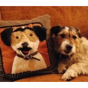 Carol Goshorn's photo