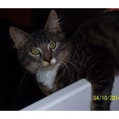Sylvie Lafond's photo