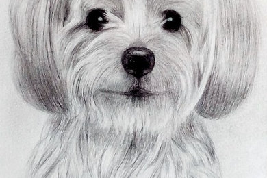 Dog portrait commission