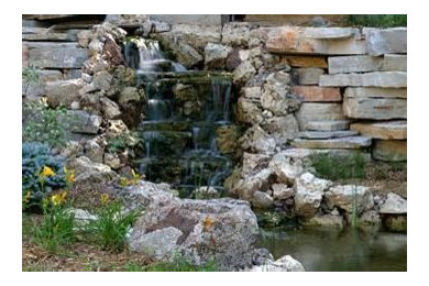 Aquascape