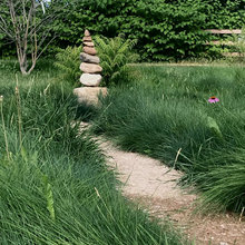 Native backyard