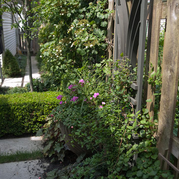 Grandview Residence Landscape Restoration