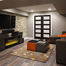 Vienna Basement Ideas