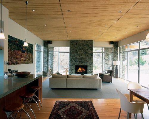 Best Fireplace Without Mantle Design Ideas & Remodel Pictures Houzz