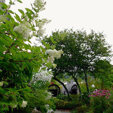 Coastal Rhode Island Garden: Salt Pond Friendly