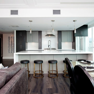 Contemporary Penthouse Renovation: Ainsworth Residence