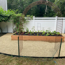 raised garden beds