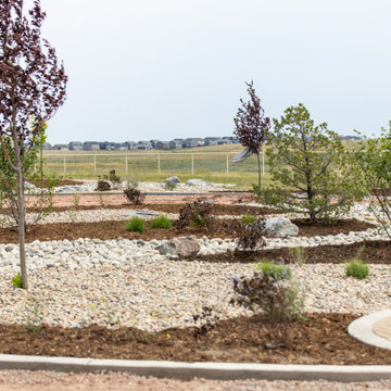 Custom New‑Construction Landscape Installation — Elizabeth, CO