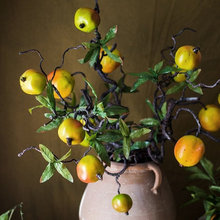 flower/plant arrangements