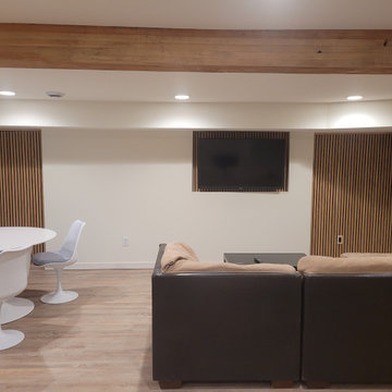 Roseville Mid Century Basement