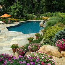 Lawn & Landscape